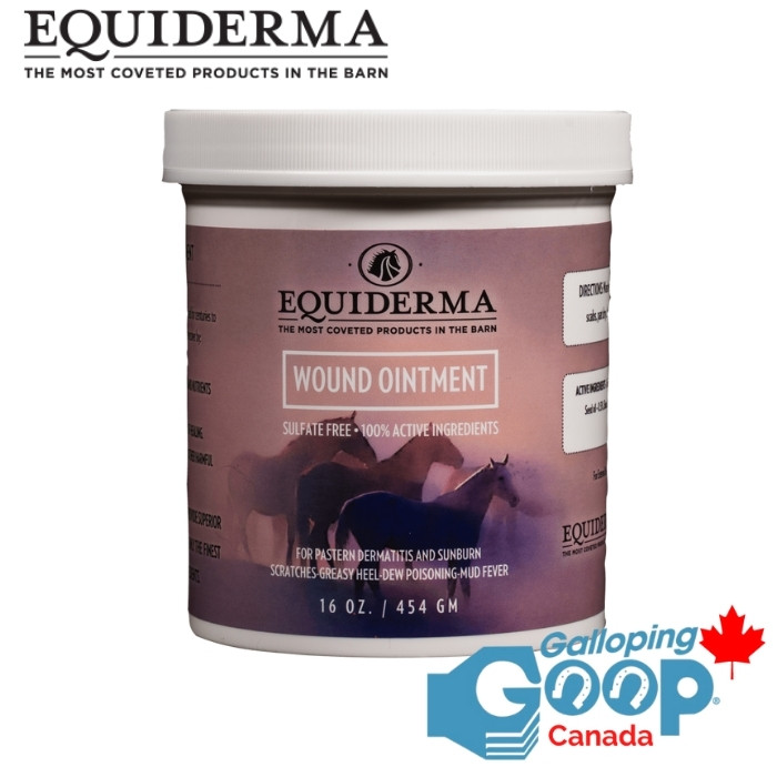 503 - Equiderma Pommade pour plaie